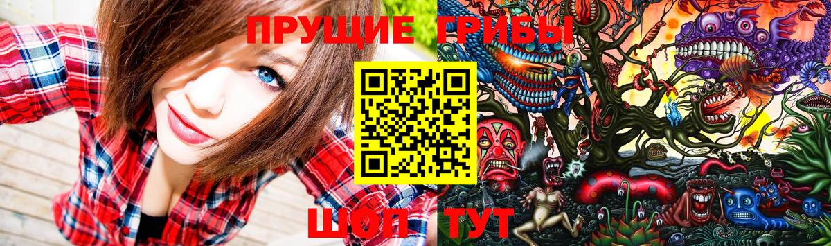 Псилоцибиновые грибы GOLDEN TEACHER Балашов