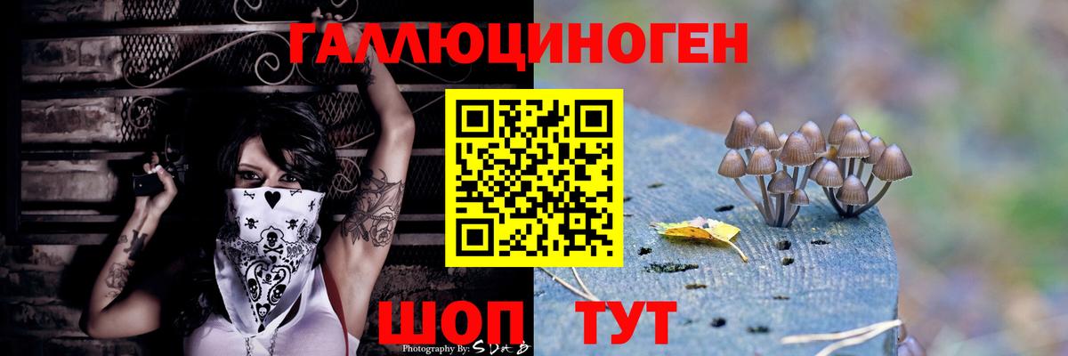 Псилоцибиновые грибы Psilocybe  магазин    Балашов  Вход с VPN  Псилоцибиновые грибы Cubensis 